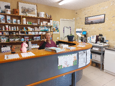 Image 4