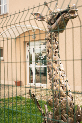 Image 2