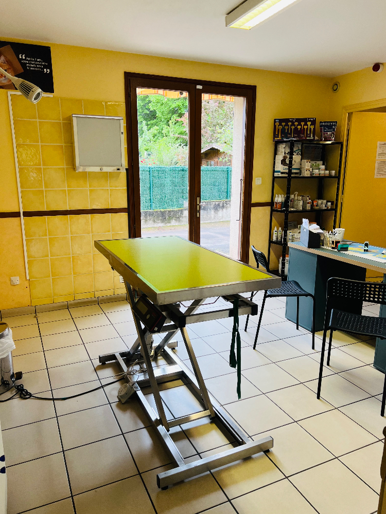 Cherche vétérinaire pour compléter l’équipe